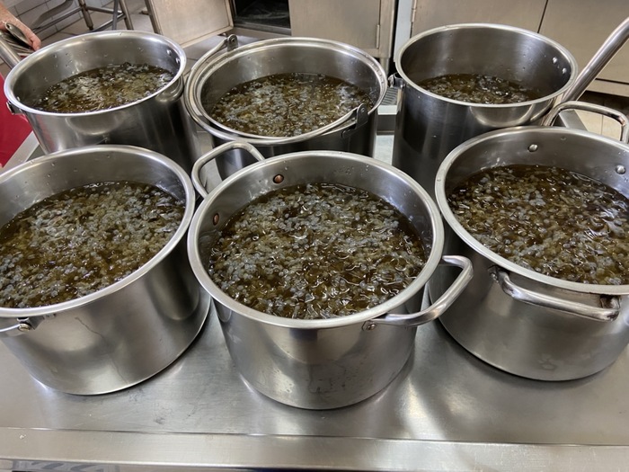 午點：愛玉山粉圓