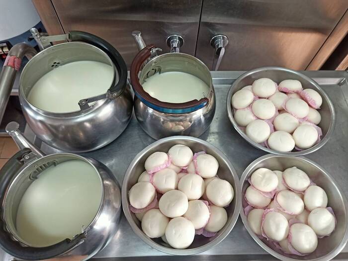 午點：包子+牛奶