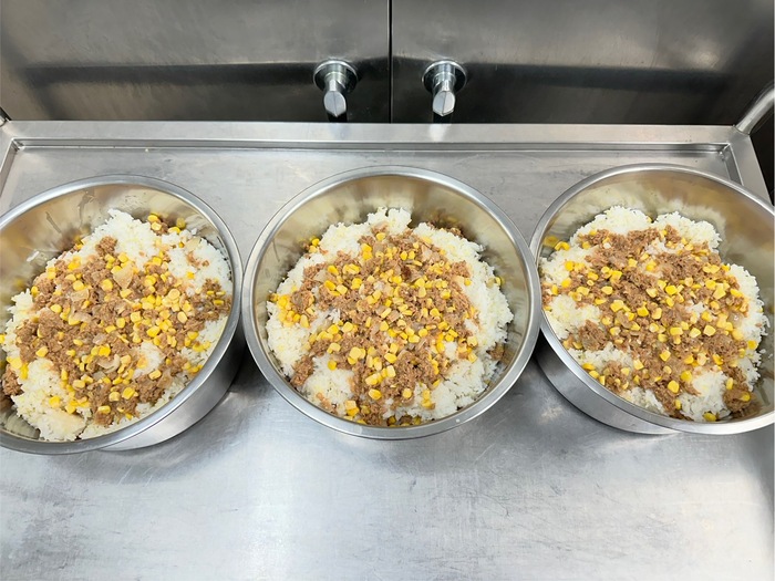 午點：鮪魚小米飯糰