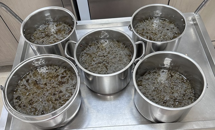 午點：愛玉山粉圓