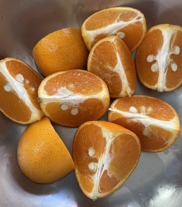 午餐：四季水果