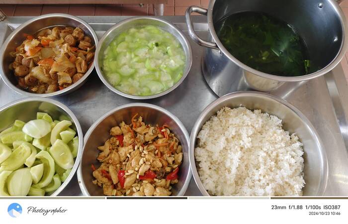 午餐：(營養糙米飯)、松子蘑菇雞丁、紅蘿燒麵輪、季節時蔬、丁香蔬菜湯、四季水果2024/10/23