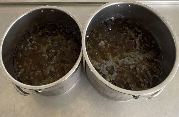 午點：山粉圓愛玉甜湯2024/08/20